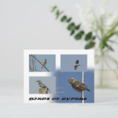 Vogels van het Cypriotische briefkaart (Staand voorkant)