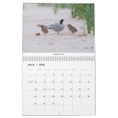 Vogels van het noordoosten kalender (Mar 2026)