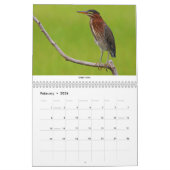 Vogels van het noordoosten kalender (Feb 2026)
