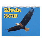 Vogels van het noordoosten kalender (Hoes)