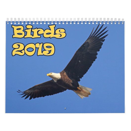 Vogels van het noordoosten kalender (Hoes)