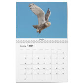 Vogels van het noordoosten kalender (Jan 2027)