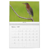 Vogels van het noordoosten kalender (Feb 2027)