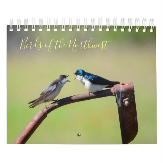 Vogels van het noordwesten kalender (Hoes)