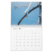 Vogels van het noordwesten kalender (Jan 2027)