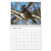 Vogels van het noordwesten kalender (Feb 2027)