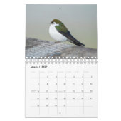 Vogels van het noordwesten kalender (Mar 2027)