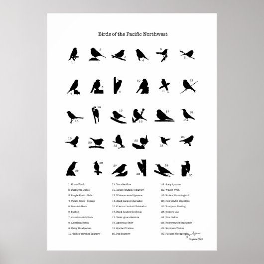 Vogels van het noordwesten (met namen) poster (Voorkant)