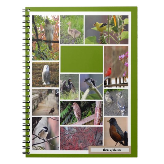Vogels van het Notitieboek Boston (Voorkant)