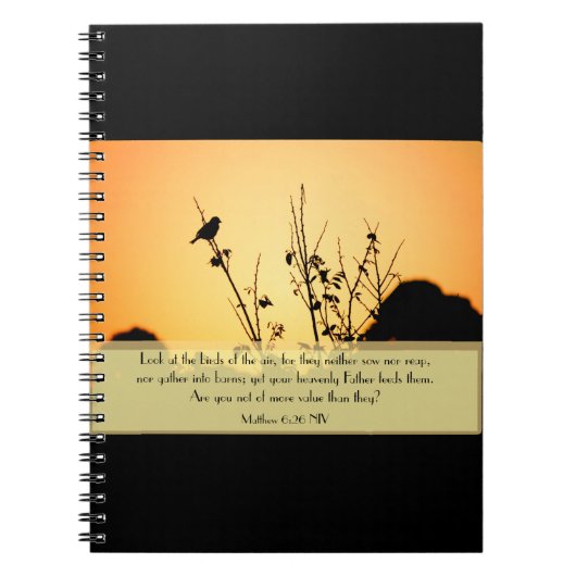 Vogels van het Notitieboek van de lucht (Voorkant)