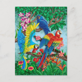Vogels van het Paradijs Briefkaart