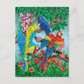 Vogels van het Paradijs Briefkaart (Voorkant)