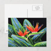 Vogels van het Paradijs Briefkaart (Voorkant / Achterkant)