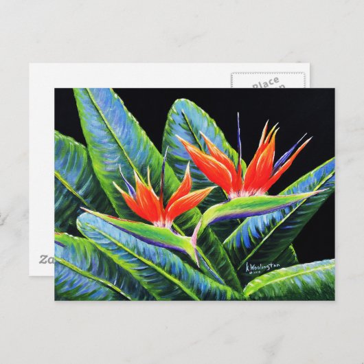 Vogels van het Paradijs Briefkaart (Voorkant / Achterkant)