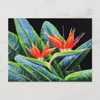 Vogels van het Paradijs Briefkaart