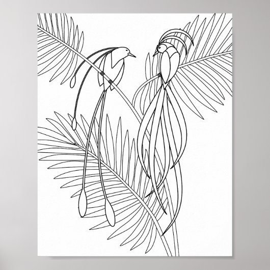Vogels van het Paradijs Kleurplaat Poster (Voorkant)