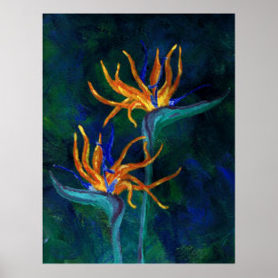 Vogels van het Paradijs Poster