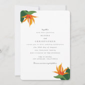 Vogels van het Paradise Tropical Beach Wedding Inv Kaart (Voorkant)