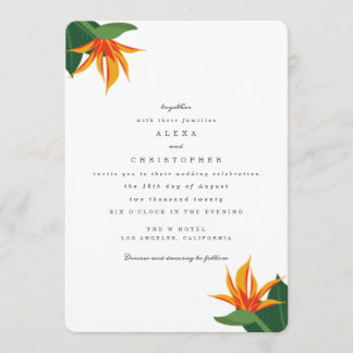Vogels van het Paradise Tropical Beach Wedding Inv Kaart