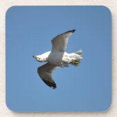 Vogels van het Wereld Natuur Collectie Bier Onderzetter (Voorkant)