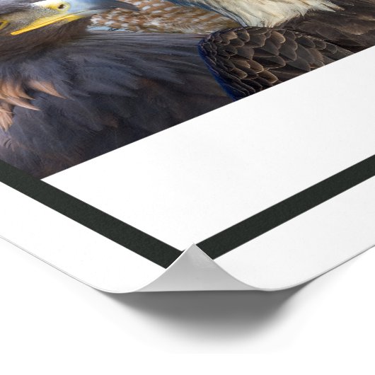 Vogels van het westen poster (Hoek)