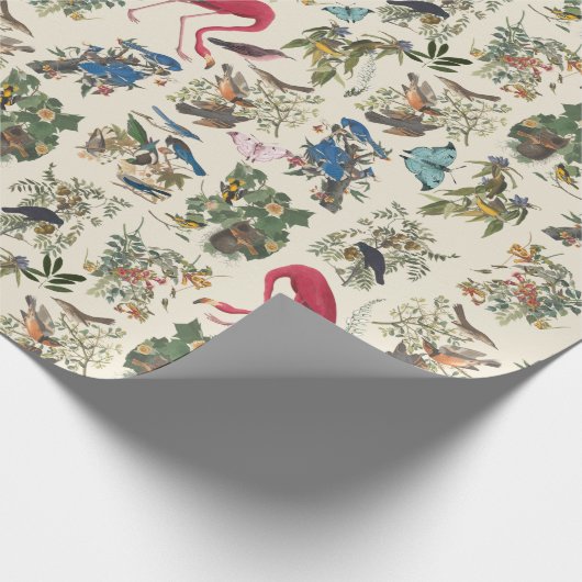 Vogels van John James Audubon Cadeaupapier (Hoek)