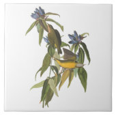 Vogels van John James Audubon Tegeltje (Voorkant)