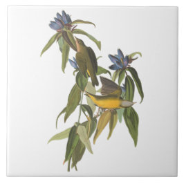 Vogels van John James Audubon Tegeltje