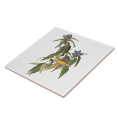 Vogels van John James Audubon Tegeltje (Zijkant)