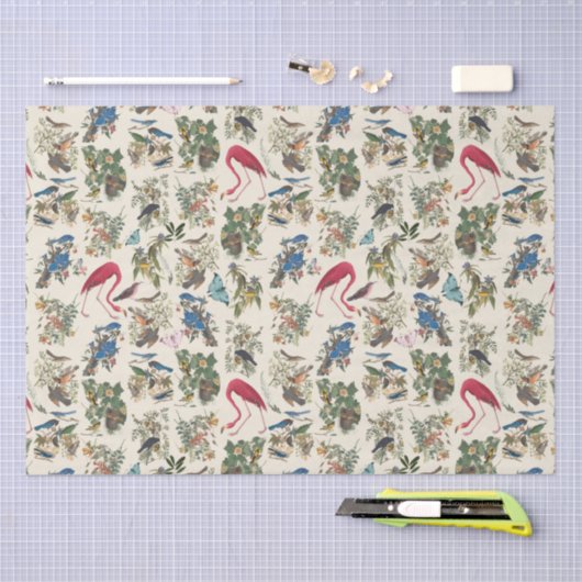 Vogels van John James Audubon Tissuepapier (Craft)