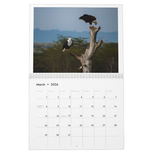 Vogels van Kenia - Lake Naivasha Kalender (Mar 2026)
