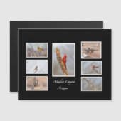 Vogels van Madera Canyon Arizona (Voorkant / Achterkant)