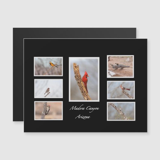 Vogels van Madera Canyon Arizona (Voorkant / Achterkant)