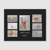 Vogels van Madera Canyon Arizona (Voorkant)