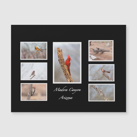 Vogels van Madera Canyon Arizona (Voorkant)