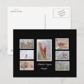 Vogels van Madera Canyon Arizona Briefkaart (Voorkant / Achterkant)