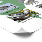 Vogels van Maine Poster (Hoek)