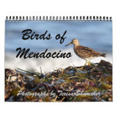 Vogels van Mendocino Kalender (Hoes)
