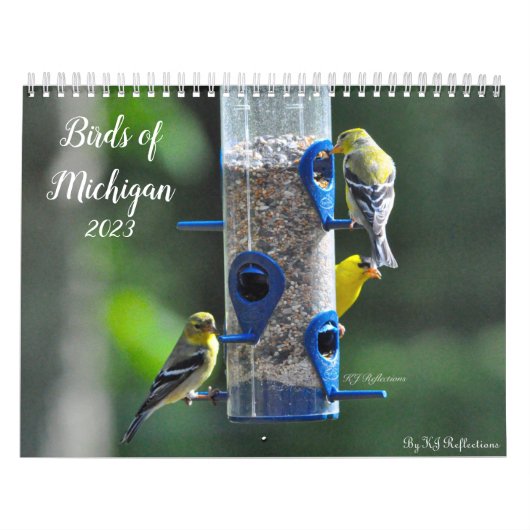 Vogels van Michigan Kalender (Hoes)