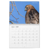 Vogels van Michigan Kalender (Mar 2027)