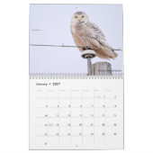 Vogels van Michigan Kalender (Jan 2027)