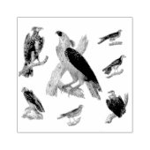 Vogels van mooie gemengde scrapbooking rubberstempel (Afrduk)