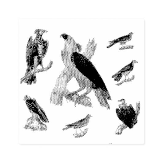 Vogels van mooie gemengde scrapbooking rubberstempel (Afrduk)