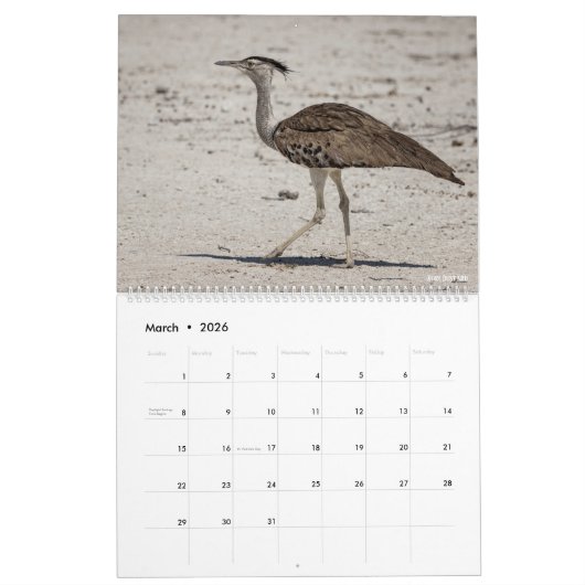 Vogels van Namibië en Botswana Kalender (Mar 2026)