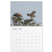 Vogels van Namibië en Botswana Kalender (Feb 2026)