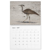 Vogels van Namibië en Botswana Kalender (Mar 2027)