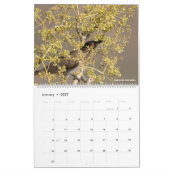 Vogels van Namibië en Botswana Kalender (Jan 2027)