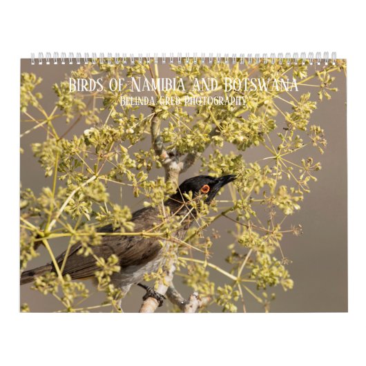 Vogels van Namibië en Botswana Kalender (Hoes)
