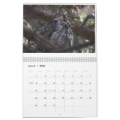 Vogels van New Jersey Kalender (Mar 2026)