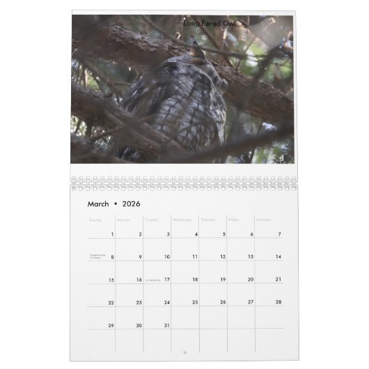 Vogels van New Jersey Kalender (Mar 2026)